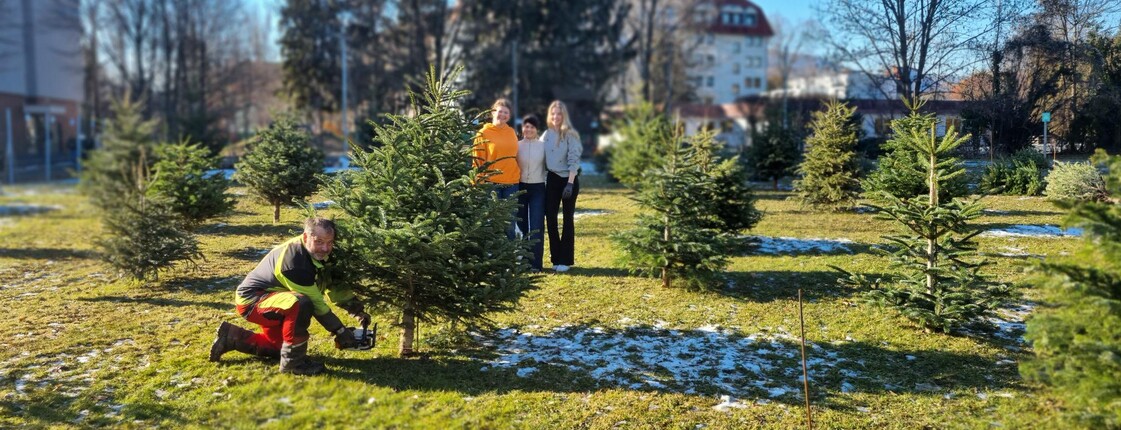 Schüler*innen des Bildungscampus Graz neben den Christbäumen, die zu einem Gesellschaftssymbol werden