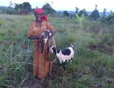 Eine burundische Frau steht lächelnd in einem grünen Feld, eine Ziege an der Leine steht hinter ihr und ein Ziegenjunges trägt sie auf dem Arm. 