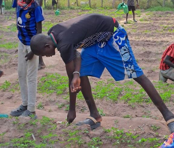 ein südsudanesischer Bursche jätet ein kleines Beet. 