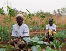 zwei südsudanesische Frauen hocken in einem Gemüsefeld