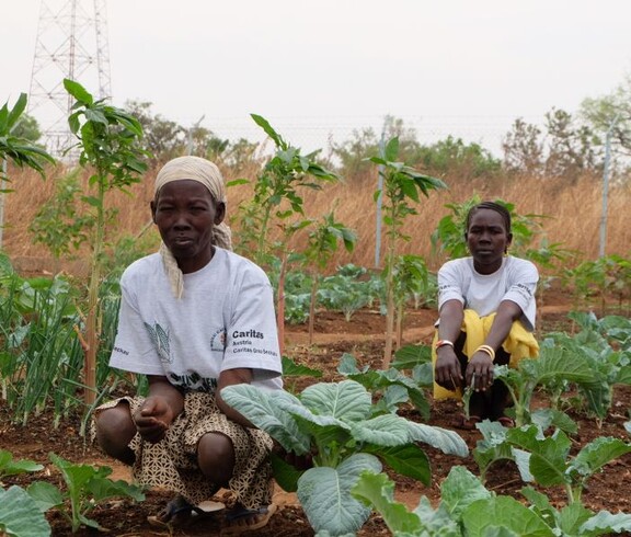 zwei südsudanesische Frauen hocken in einem Gemüsefeld