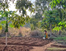 im Vordergrund sind landwirtschaftliche Parzellen, teils bebaut, teils leer. Im Hintergrund gießt eine junge südsudanesische Frau.